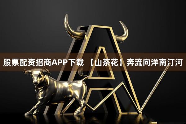 股票配资招商APP下载 【山茶花】奔流向洋南汀河